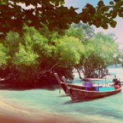 tree-in-water-and-long-boats